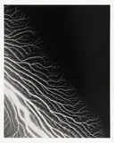 Hiroshi Sugimoto, The Long Never