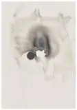 Ernesto Neto, Surprise into the dark matter and sister, 2008, Unique India ink drawing, on wove paper