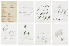 Cy Twombly, Natural History Part II: Some Trees of Italy (B. 52-59), 1975-76, The complete set of eight collotype and lithographs in colors, the title print with collage and a transparent paper overlay, on Fabriano Bütten paper, the full sheets and with full margins, lacking the original green portfolio