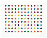 Damien Hirst, Ellipticine, 2007, Etching and aquatint in colors, on Hahnemühle etching paper, with full margins