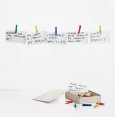 Rachel Harrison, where's my fucking peanut, 2012, The complete set of 26 inkjet prints, on wove paper, accompanied by 32 wooden clothespins, all contained in the original wooden box