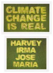 Ackroyd + Harvey, Climate Change is Real; and Harvey Irma Jose Maria, 2017, Two archival photographic prints in colors, on photo-rag paper, with full margins