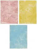 Noel Anderson, Ebony Files, the Albuquerque Suite (T. 19-327-19-329), 2019, The complete set of three lithographs in colors, on Somerset Velvet paper, the full sheets