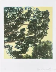 Cy Twombly, Tree (I), 1986/1994, Fresson print in colors, on wove paper, with full margins
