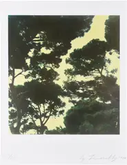 Cy Twombly, Tree (II), 1986/1994, Fresson print in colors, on wove paper, with full margins