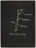 Jean-Michel Basquiat, Posterior View, from Anatomy, 1982, Screenprint in black, on Arches paper, the full sheet