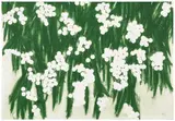 Donald Sultan, Mimosas, October 2, 2006, Etching, aquatint and screenprint in colors with pochoir, on Arches paper, the full sheet