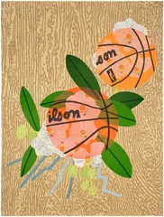 Jonas Wood, Double Basketball Orchid 3 (State II), 2025, Lithograph in colors, on white Rives BFK paper, the full sheet