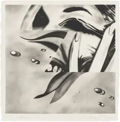 Zone (G. 53) by James Rosenquist, 1972, Lithograph, on Hodgkinson handmade Wookey Hole paper, with full margins, sold Oct 2025