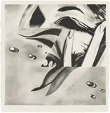 James Rosenquist, Zone (G. 53), 1972, Lithograph, on Hodgkinson handmade Wookey Hole paper, with full margins