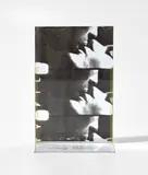 Andy Warhol, Kiss, from 7 Objects in a Box (F. & S. 8), 1966, Screenprint, on Plexiglas multiple