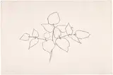 Ellsworth Kelly, Woodland Plant (T. 323, A. 178), 1979, Lithograph, on Arches Cover paper, with full margins