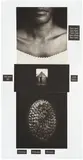 Lorna Simpson, Counting