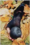 Kiki Smith, Sleeping Witch: one plate