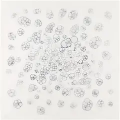 Tara Donovan, Untitled, 2005, Etching, on wove paper, with full margins