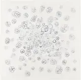Tara Donovan, Untitled, 2005, Etching, on wove paper, with full margins