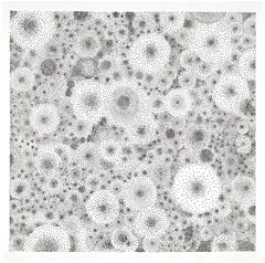 Tara Donovan, Untitled, 2009, Pin head matrix relief print, on wove paper, with full margins