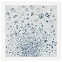 Tara Donovan, Untitled, 2004, Etching, on wove paper, with full margins