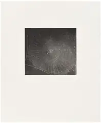 Vija Celmins, Untitled (Web 2) (R. 36), 2001, Mezzotint, on wove paper, with full margins