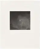 Vija Celmins, Untitled (Web 2) (R. 36), 2001, Mezzotint, on wove paper, with full margins