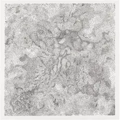 Tara Donovan, Untitled, 2009, Pin head matrix relief print, on wove paper, with full margins