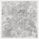 Tara Donovan, Untitled, 2009, Pin head matrix relief print, on wove paper, with full margins