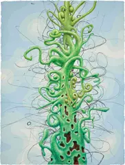 Alexander Ross, Untitled, 2007, Unique ink, flashe, graphite and watercolor drawing with collage of colored pencil on paper, on Aquarelle Arches paper