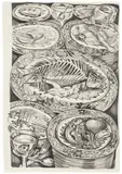 Nikki Maloof, Plates Study, 2020, Unique graphite drawing, on wove paper