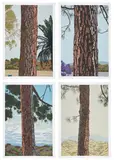 Jake Longstreth, Los Angeles Pines, 2022, The complete set of four screenprints in colors, on wove paper, with full margins, all loose (as issued), all contained in the original heavy card folio
