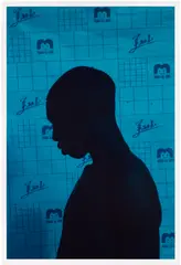 Justus Blue by Viviane Sassen, 2015, Chromogenic print in colors, on Fujicolor Professional paper, with full margins, offered Oct 2025