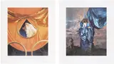 William Wegman, Cinderella: two plates, 1994, Two offset lithographs in colors, on Fabriano Tiepolo paper, with full margins