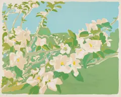 Fairfield Porter, Apple Blossoms III (L. 28), 1974, Lithograph in colors, on wove paper, with full margins