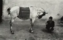 Josef Koudelka, Man with Horse, Romania, 1968, Gelatin silver print