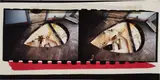 Gordon Matta-Clark, Office Baroque, 1977, Dye destruction print