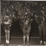 Diane Arbus, Camp Lakecrest Campers as Trees, Dutchess County, N.Y., 1968, Gelatin silver print, printed later by Neil Selkirk