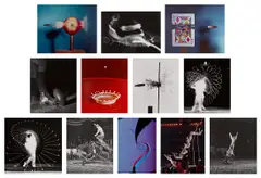 Seeing the Unseen: Twelve Photographs by Harold Eugene Edgerton, 1934-1973, Boston: Gus Kufayas, 1977. Five dye transfer prints and seven gelatin silver prints, sold Apr 2025