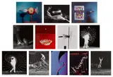 Harold Eugene Edgerton, Seeing the Unseen: Twelve Photographs