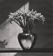 Robert Mapplethorpe, Irises, 1982, Photogravure