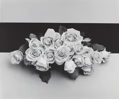 Robert Mapplethorpe, Roses, 1987, Oversized gelatin silver print