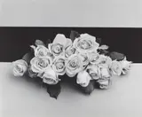 Robert Mapplethorpe, Roses, 1987, Oversized gelatin silver print