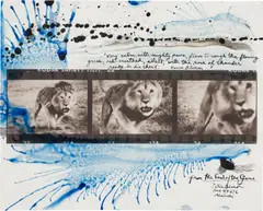 Peter Beard, Loliondo Lion Charge from The End of the Game, 1964, Unique gelatin silver print with ink and paint, executed later