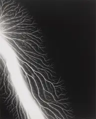 Lightning Fields 222 by Hiroshi Sugimoto, 2009, Gelatin silver print, printed 2010, sold Apr 2025