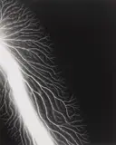 Hiroshi Sugimoto, Lightning Fields 222, 2009, Gelatin silver print, printed 2010