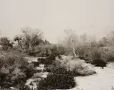 Robert Adams, Santa Ana Wash, Norton Air Force Base, California, 1978, Gelatin silver print