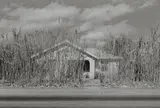 Henry Wessel, Jr., Tucson, Arizona