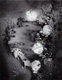 Minor White, Beginnings, Frosted Window, Rochester