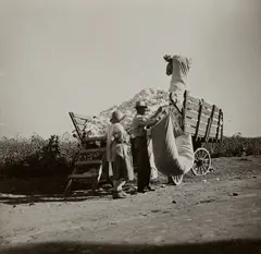 Dorothea Lange, Cotton Picker, San Joaquin Valley, California, November, 1936, Gelatin silver print