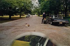 William Eggleston, Untitled (dog in road), circa 1970-1974, Dye transfer print, printed 2012
