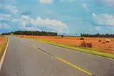 Untitled (peanut fields near Friendship, Mississippi) by William Eggleston, 1976, Dye transfer print, printed 2011, sold Jun 2025