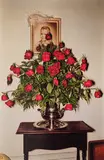 William Eggleston, Untitled (roses)